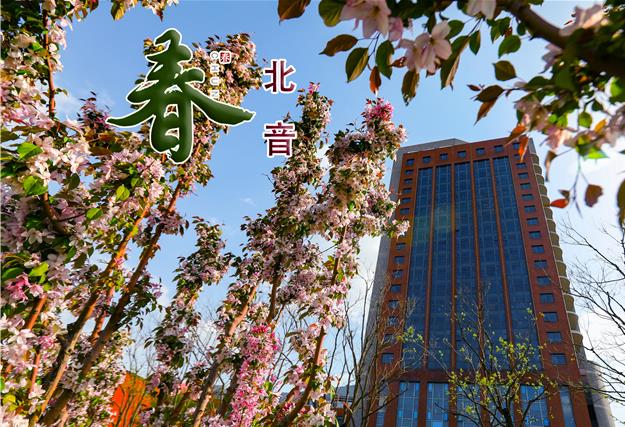 北四川女人操B音春色